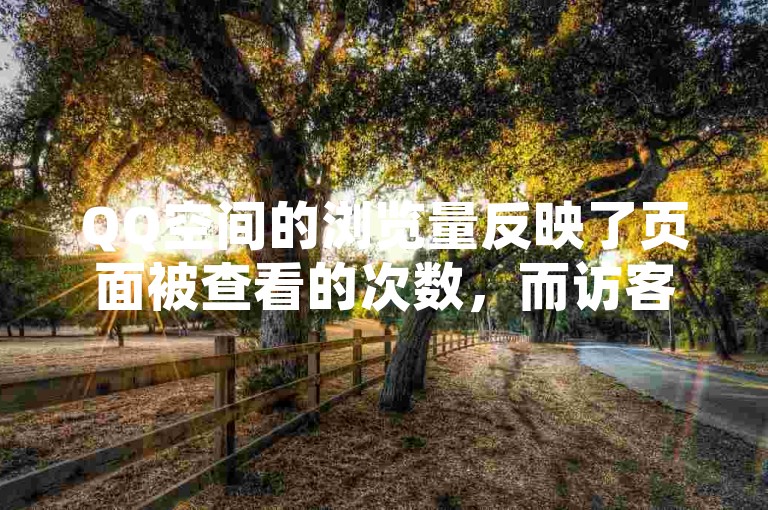 QQ空间的浏览量反映了页面被查看的次数，而访客数则统计了独立访问者的数量。