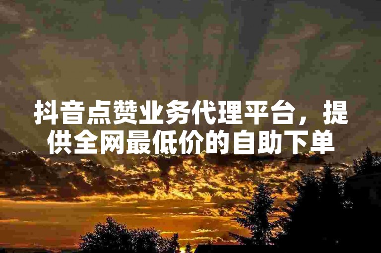 抖音点赞业务代理平台，提供全网最低价的自助下单服务。