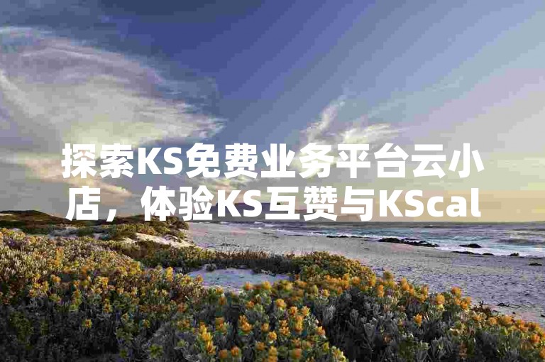 探索KS免费业务平台云小店，体验KS互赞与KScall自助下单服务，轻松实现QQ资料卡快速获得数万个赞。