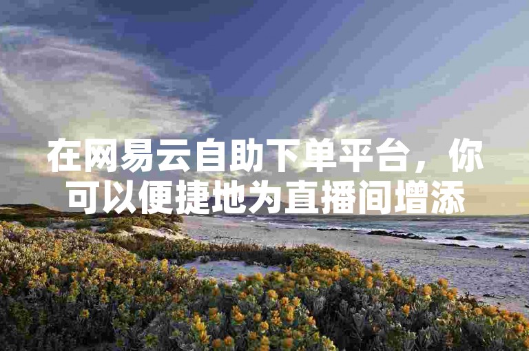 在网易云自助下单平台，你可以便捷地为直播间增添人气互动，享受真人下单带来的真实体验。
