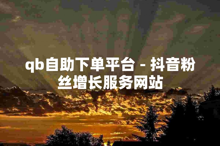 qb自助下单平台 - 抖音粉丝增长服务网站