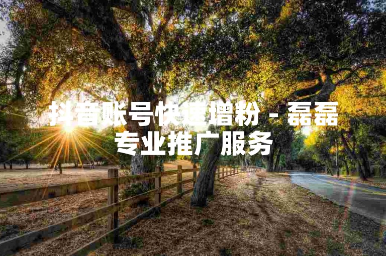 抖音账号快速增粉 - 磊磊专业推广服务