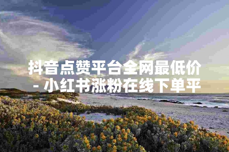 抖音点赞平台全网最低价 - 小红书涨粉在线下单平台