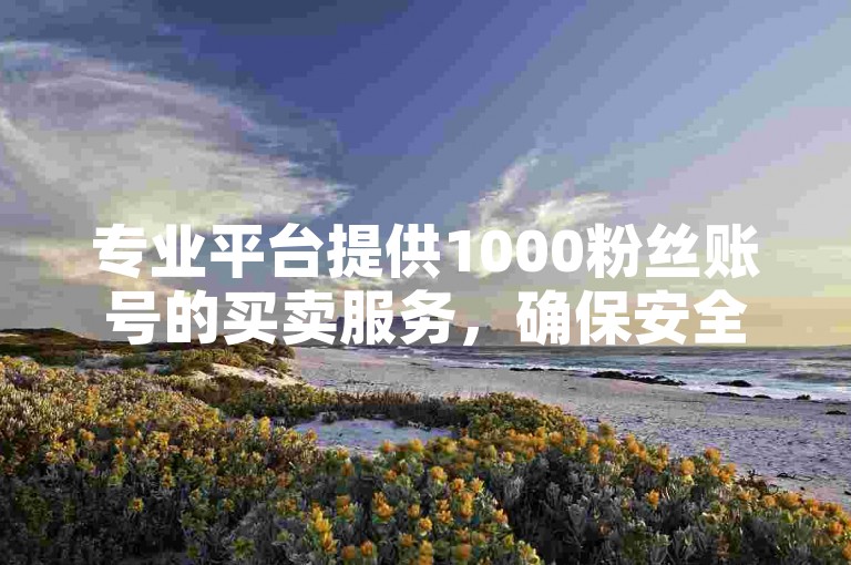 专业平台提供1000粉丝账号的买卖服务，确保安全快捷的交易体验。