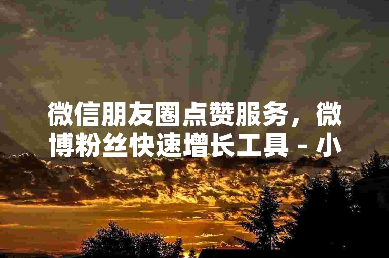 微信朋友圈点赞服务，微博粉丝快速增长工具 - 小红书点赞加关注平台 - 视频号播放量提升网站SP