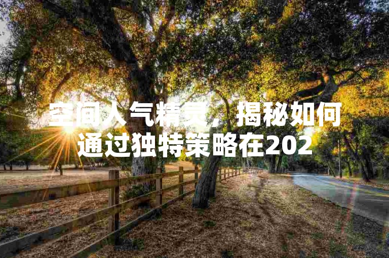 空间人气精灵，揭秘如何通过独特策略在2025年之前显著增加网站访问量！