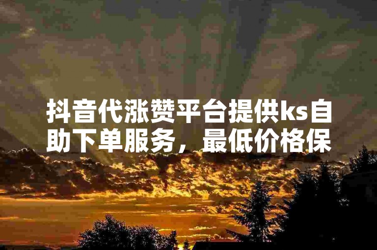 抖音代涨赞平台提供ks自助下单服务，最低价格保证。