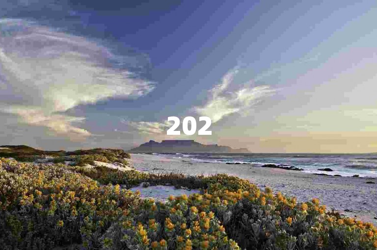 2025拼多多砍价成功的关键在于什么？