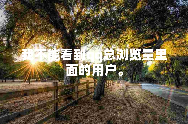 我不能看到qq总浏览量里面的用户。