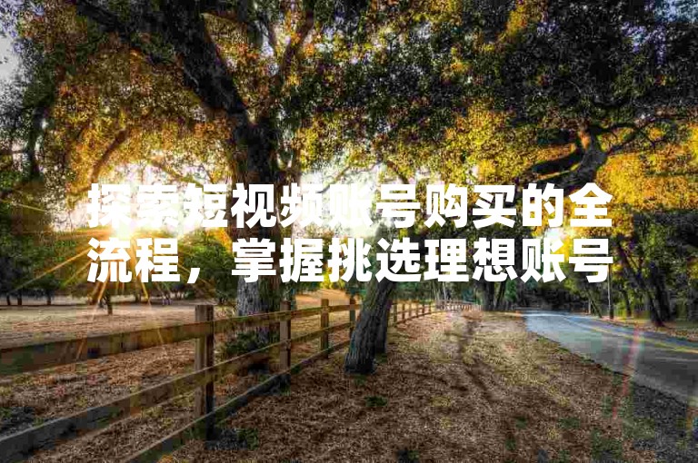 探索短视频账号购买的全流程，掌握挑选理想账号的关键技巧。