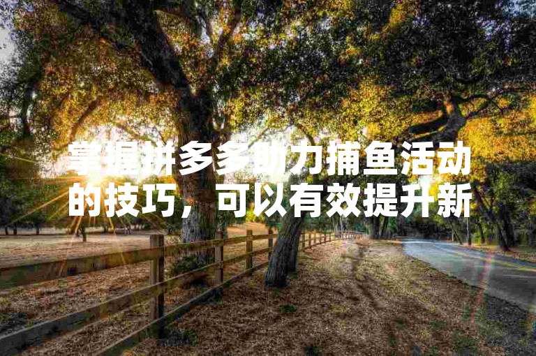 掌握拼多多助力捕鱼活动的技巧，可以有效提升新人账号的参与度和成功率。