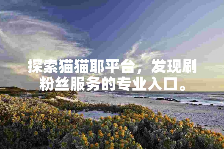 探索猫猫耶平台，发现刷粉丝服务的专业入口。