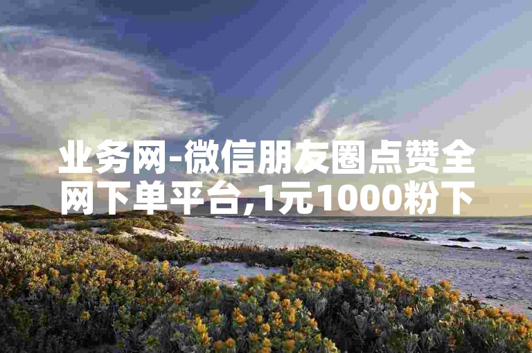 业务网-微信朋友圈点赞全网下单平台,1元1000粉下单平台