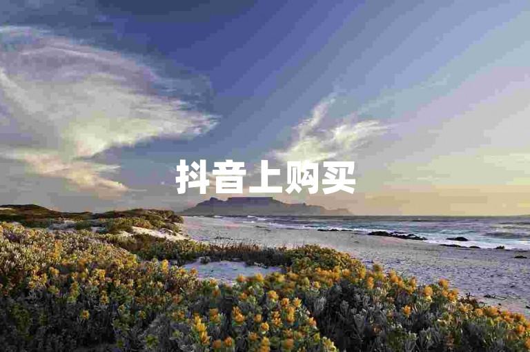 抖音上购买500点赞量的方法是什么？