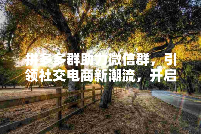 拼多多群助力微信群，引领社交电商新潮流，开启2024年的新征程。