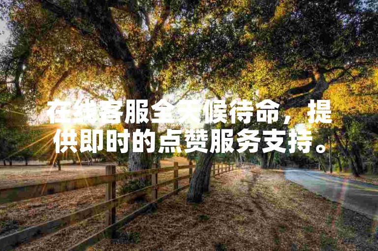 在线客服全天候待命，提供即时的点赞服务支持。