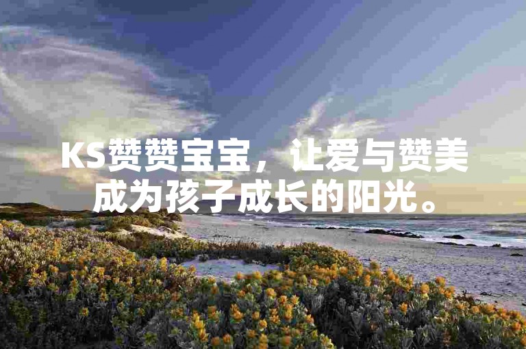 KS赞赞宝宝，让爱与赞美成为孩子成长的阳光。