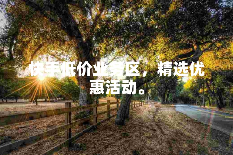 快手低价业务区，精选优惠活动。