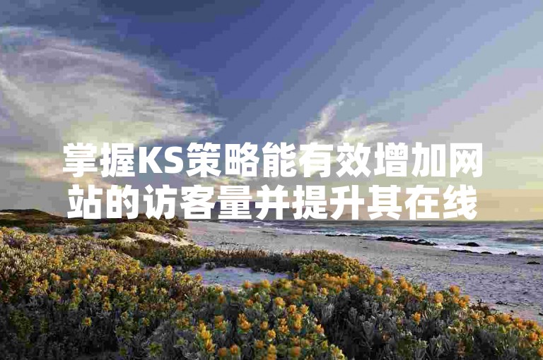 掌握KS策略能有效增加网站的访客量并提升其在线可见度。