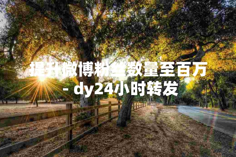 提升微博粉丝数量至百万 - dy24小时转发