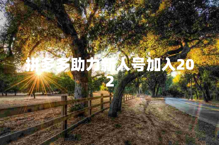 拼多多助力新人号加入2025年拼多多互助群，微信扫码即可参与。