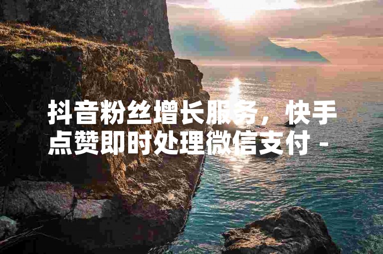 抖音粉丝增长服务，快手点赞即时处理微信支付 - 网红即时下单助手 - 自助平台网站。