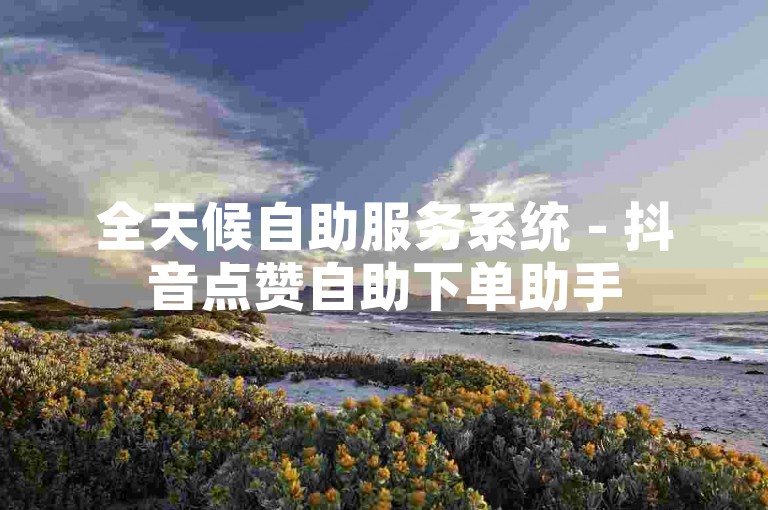 全天候自助服务系统 - 抖音点赞自助下单助手