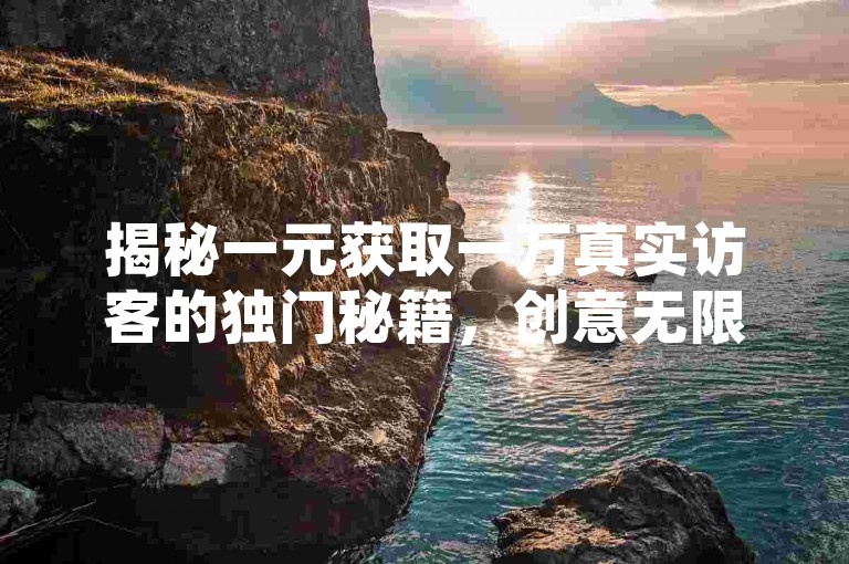 揭秘一元获取一万真实访客的独门秘籍，创意无限，仅需一元，即可轻松吸引大量真实流量！2025年必备技能。