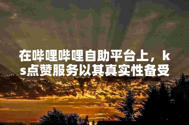 在哔哩哔哩自助平台上，ks点赞服务以其真实性备受用户青睐。