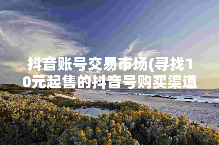 抖音账号交易市场(寻找10元起售的抖音号购买渠道)。