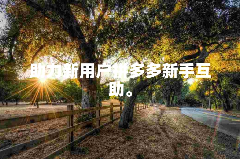 助力新用户拼多多新手互助。