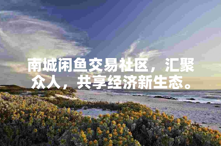 南城闲鱼交易社区，汇聚众人，共享经济新生态。