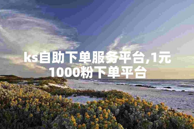 ks自助下单服务平台,1元1000粉下单平台