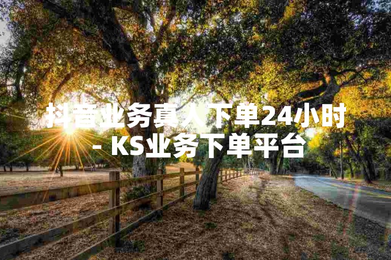 抖音业务真人下单24小时 - KS业务下单平台