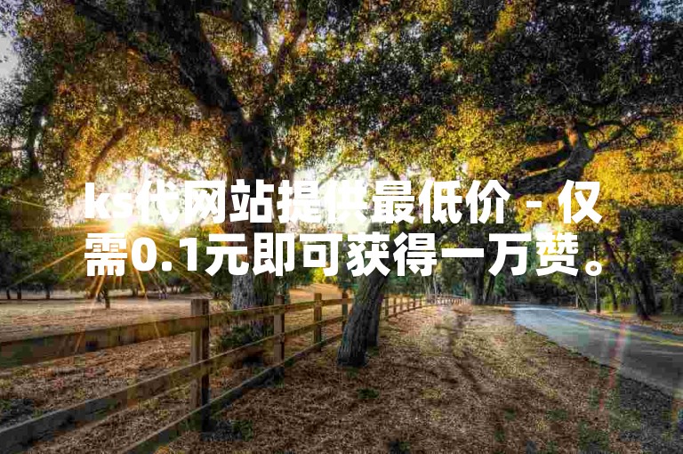 ks代网站提供最低价 - 仅需0.1元即可获得一万赞。