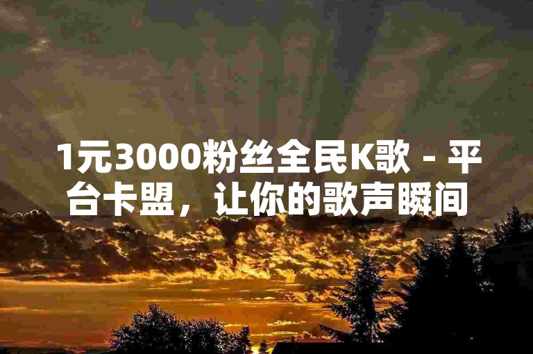 1元3000粉丝全民K歌 - 平台卡盟，让你的歌声瞬间走红！