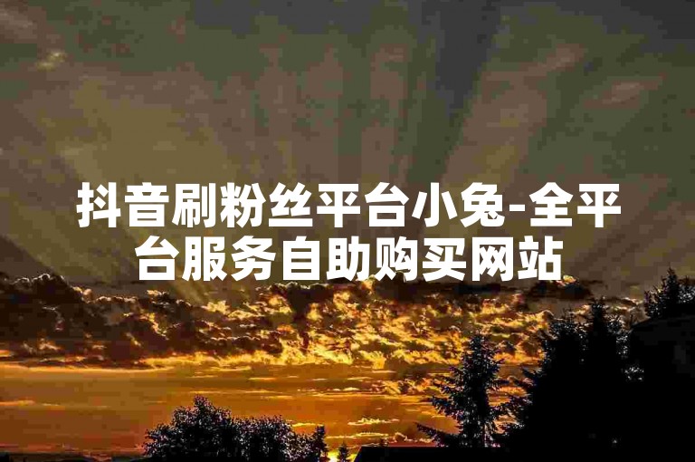 抖音刷粉丝平台小兔-全平台服务自助购买网站