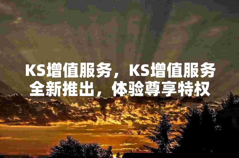 KS增值服务，KS增值服务全新推出，体验尊享特权。