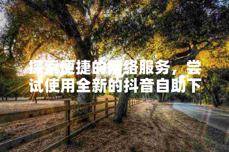 探索便捷的网络服务，尝试使用全新的抖音自助下单系统，让内容创作变得更加简单高效。