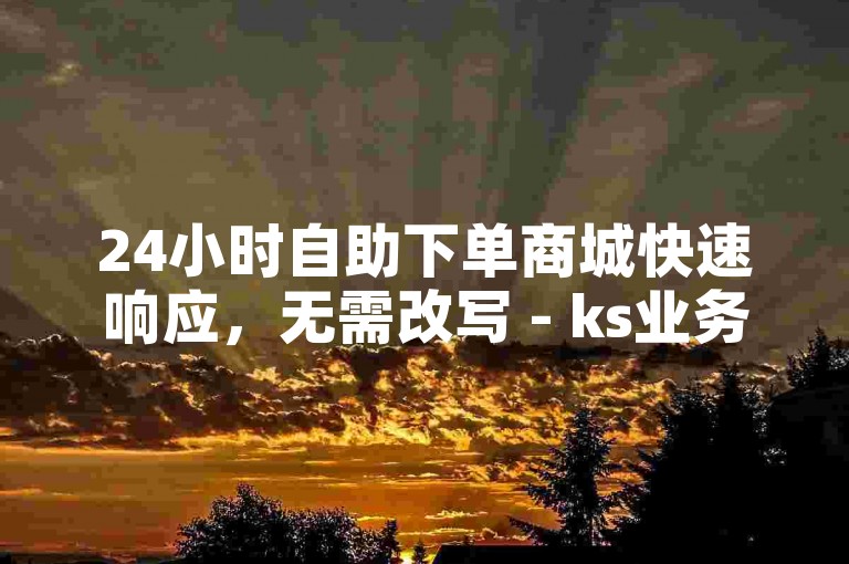 24小时自助下单商城快速响应，无需改写 - ks业务自助免费下单平台即时服务。