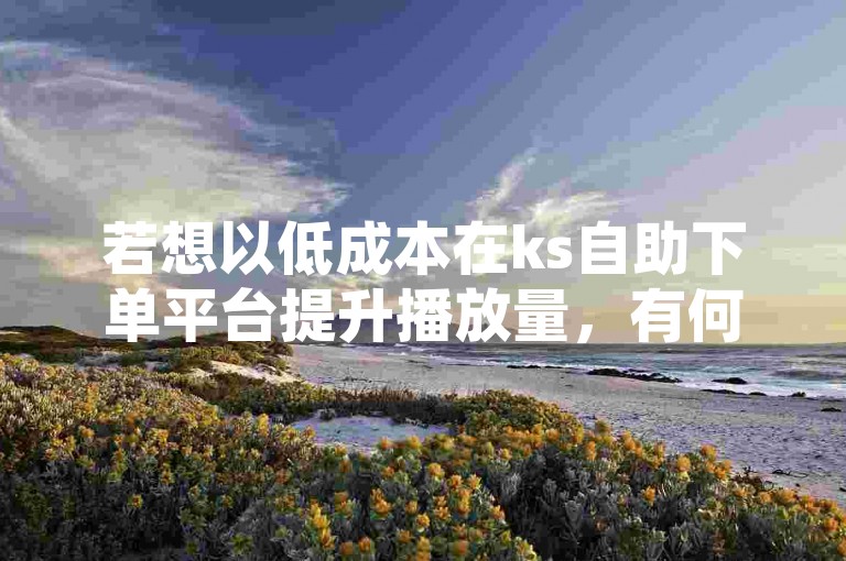 若想以低成本在ks自助下单平台提升播放量，有何策略可行？