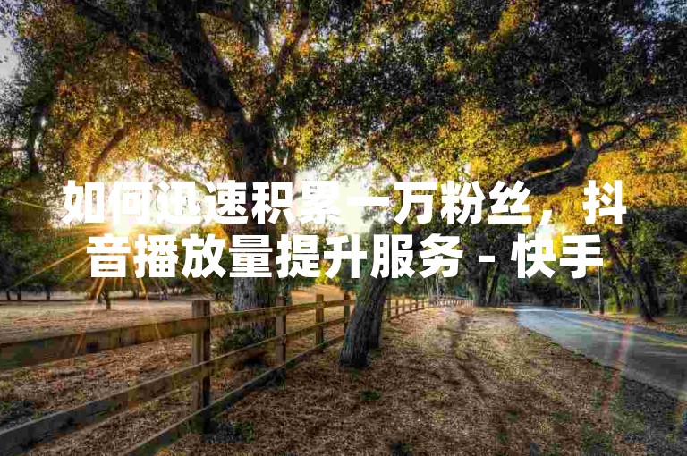 如何迅速积累一万粉丝，抖音播放量提升服务 - 快手低成本推广 - 抖音500粉丝增长套餐超值上线！