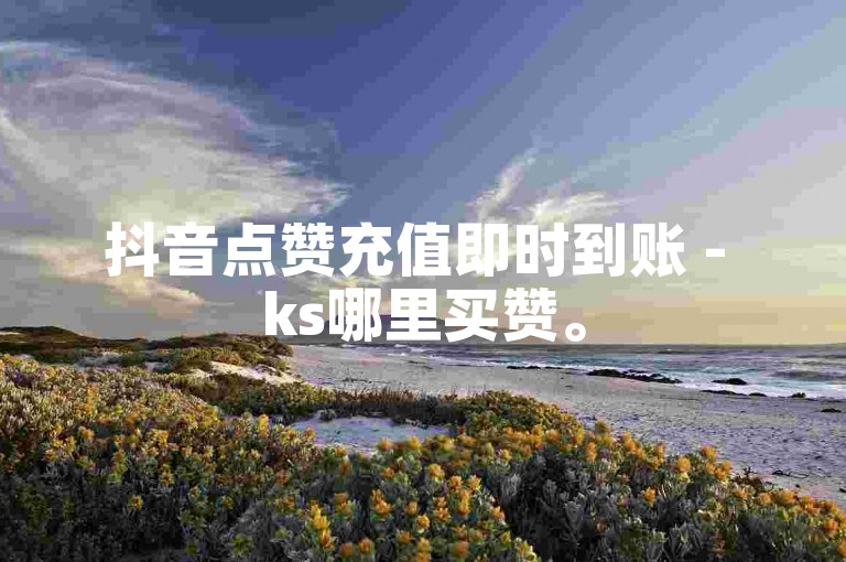 抖音点赞充值即时到账 - ks哪里买赞。