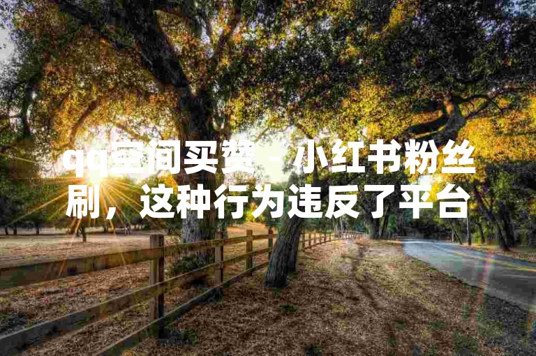 qq空间买赞 - 小红书粉丝刷，这种行为违反了平台规定，可能导致账号被封禁。