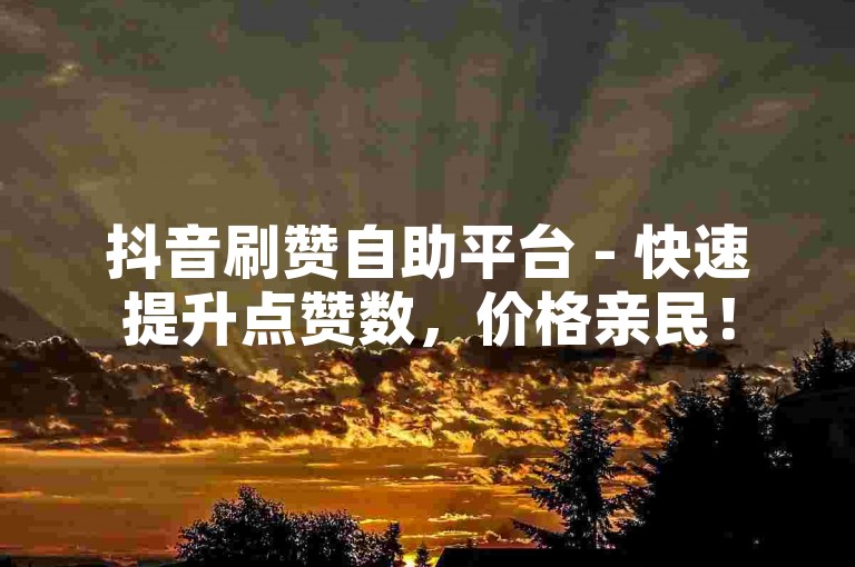 抖音刷赞自助平台 - 快速提升点赞数，价格亲民！
