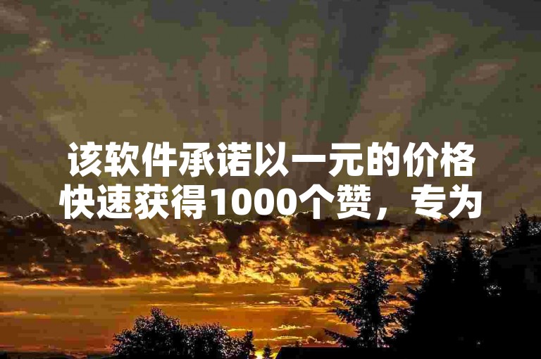 该软件承诺以一元的价格快速获得1000个赞，专为快手平台设计。