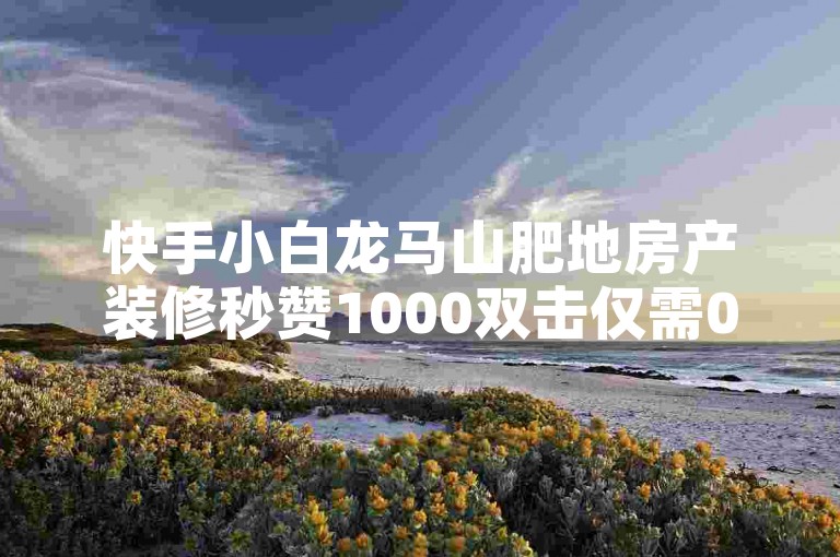 快手小白龙马山肥地房产装修秒赞1000双击仅需0.01元，是新人必备的推广利器！