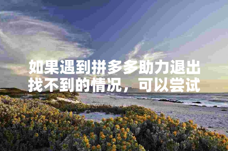 如果遇到拼多多助力退出找不到的情况，可以尝试在拼多多的官方客服渠道寻求帮助。