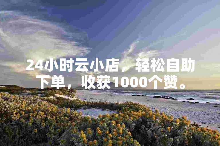 24小时云小店，轻松自助下单，收获1000个赞。