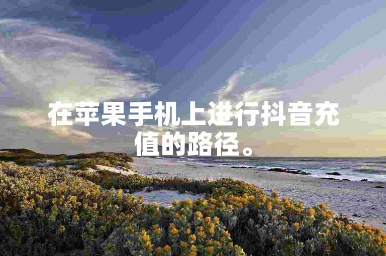 在苹果手机上进行抖音充值的路径。